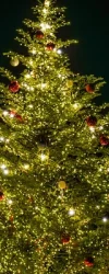 depositphotos_332626922-stock-photo-shiny-christmas-tree-christmas-market